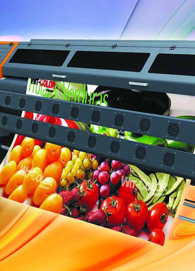 DIGITAL FLEX AND VINYL PRINTING