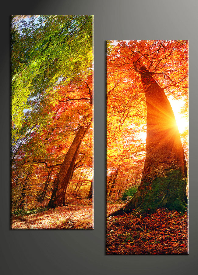 CANVAS PRINTS